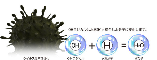 OHラジカルは水分子に変化